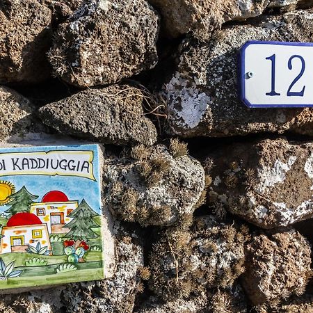 Dammuso I Pini Di Kaddiuggia Villa Campobello Dış mekan fotoğraf