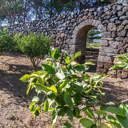 Dammuso I Pini Di Kaddiuggia Villa Campobello Dış mekan fotoğraf