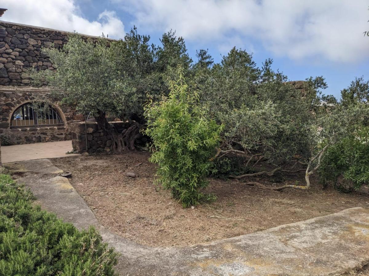 Dammuso I Pini Di Kaddiuggia Villa Campobello Dış mekan fotoğraf