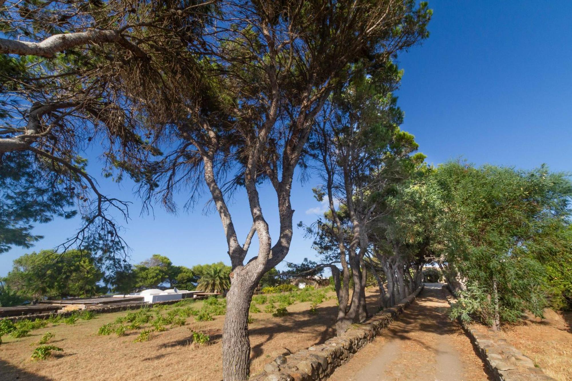 Dammuso I Pini Di Kaddiuggia Villa Campobello Dış mekan fotoğraf