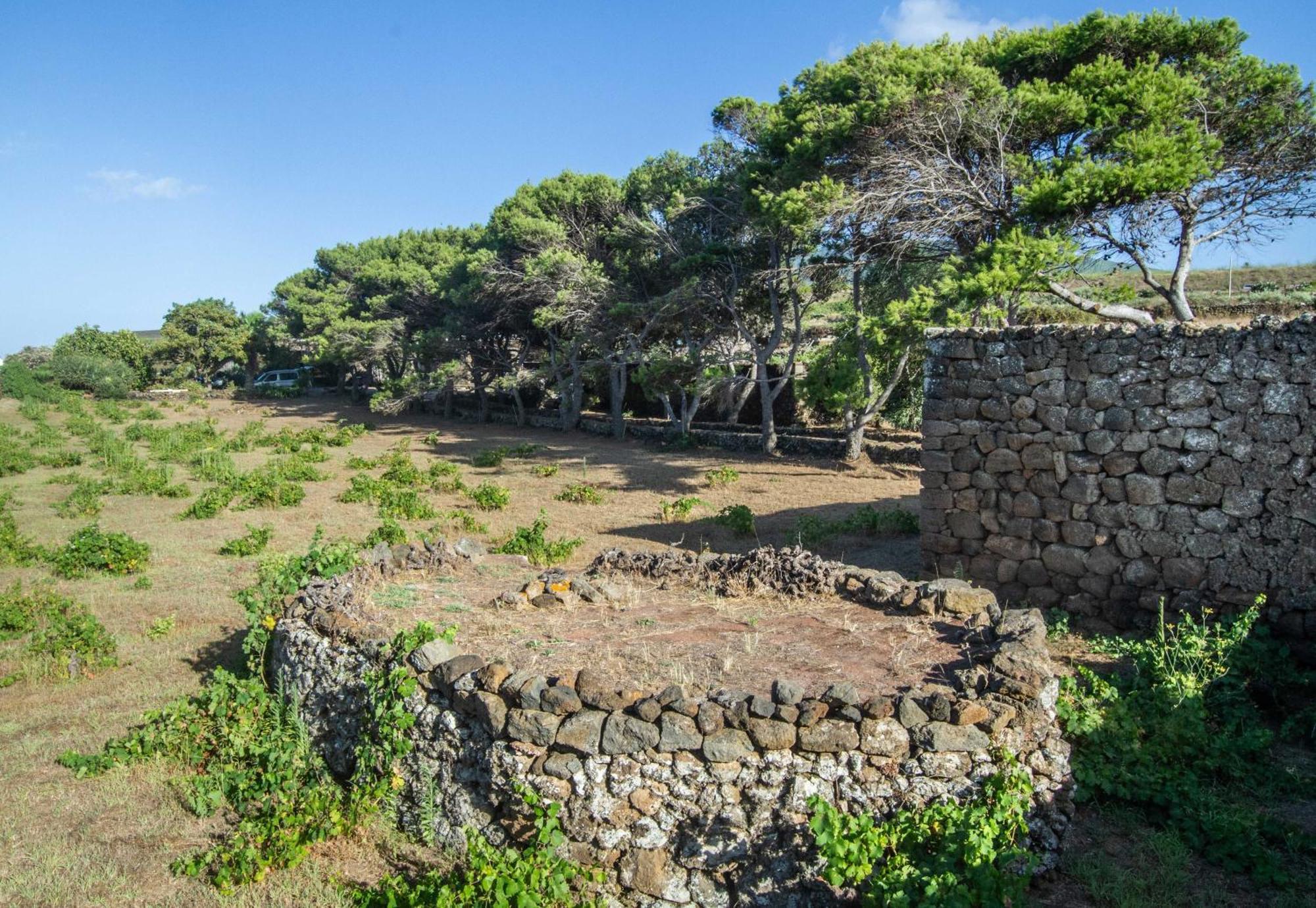 Dammuso I Pini Di Kaddiuggia Villa Campobello Dış mekan fotoğraf
