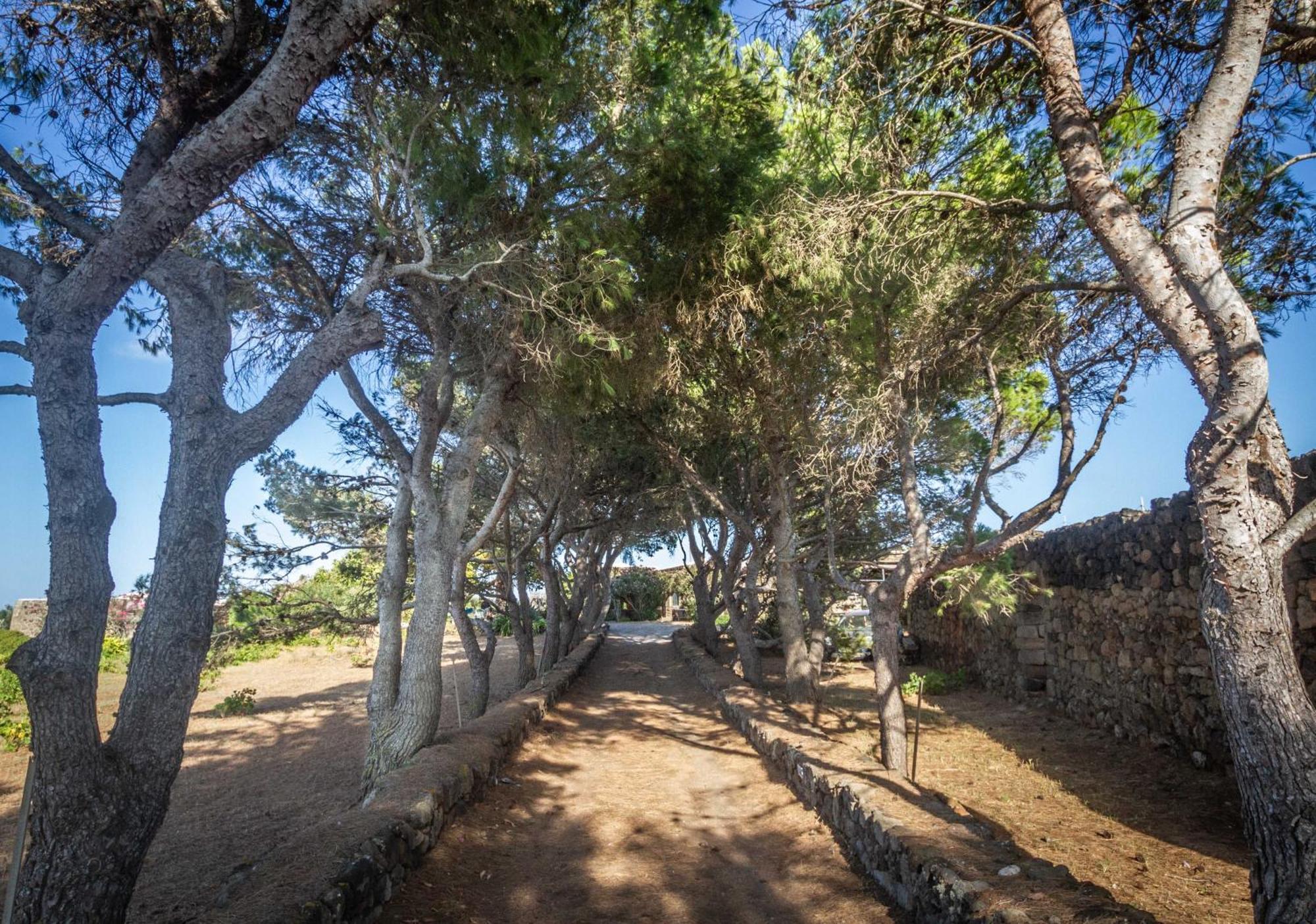 Dammuso I Pini Di Kaddiuggia Villa Campobello Dış mekan fotoğraf