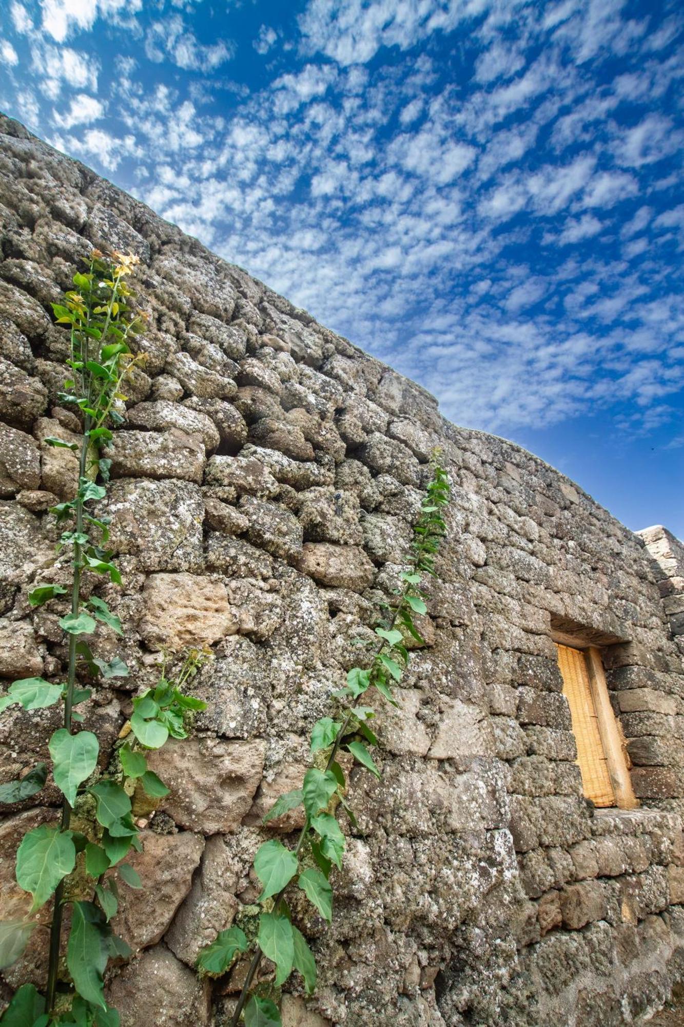 Dammuso I Pini Di Kaddiuggia Villa Campobello Dış mekan fotoğraf